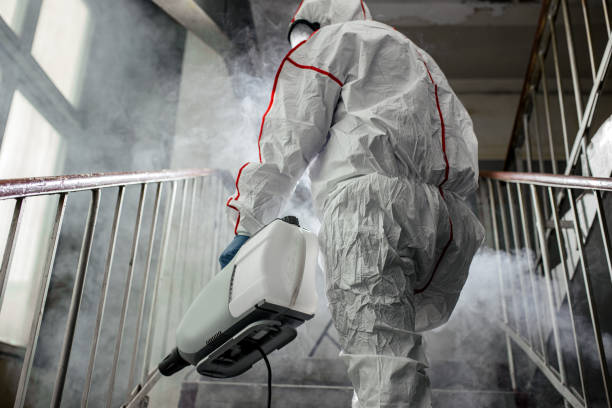 Best Mold Prevention Services  in Splendora, TX